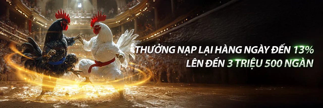 Đá Gà Trực Tuyến Sinbet Đăng Nhập