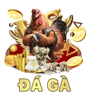 Chuyên gia trải nghiệm người dùng Sinbet